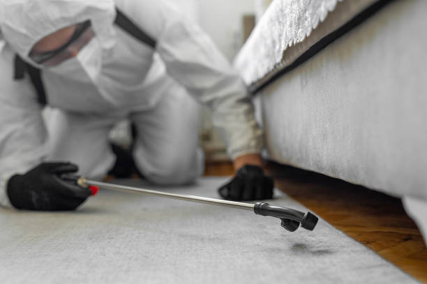 Professional Termite Control technician working in Hocking County County, OH
